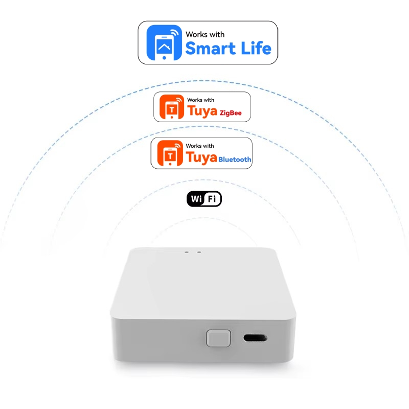 Smart Multi-Mode ZigBee Blueto - Smart Home Hub Matter ulasan dan harga