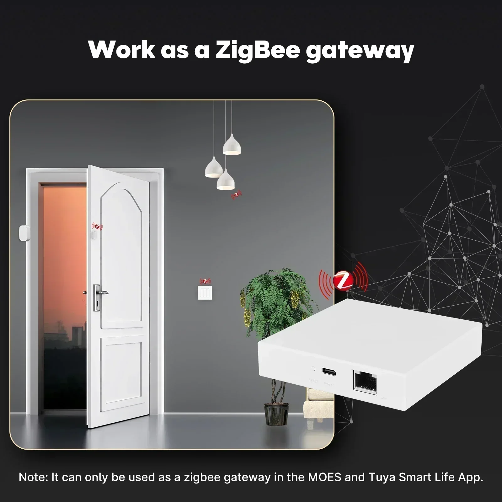 MOES Tuya Zigbee Matter Thread - Smart Home Dashboard ulasan dan harga