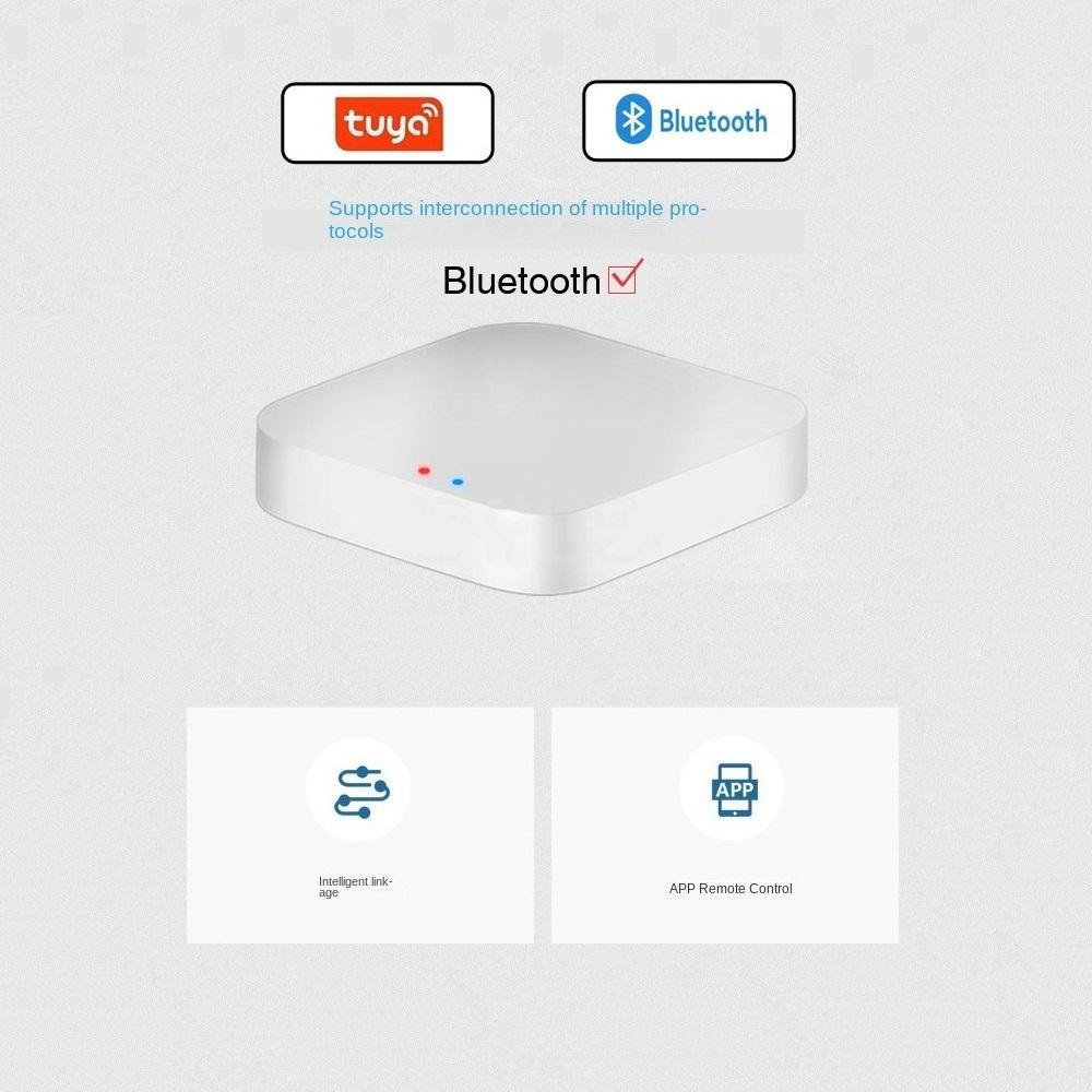 Tuya / Smart Life Gateway Hub  - Smart Home Hub Matter ulasan dan harga