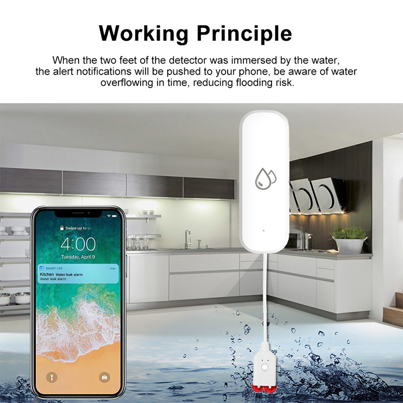 Tuya WiFi Water Leakage Alarm  - Smart Home Features ulasan dan harga